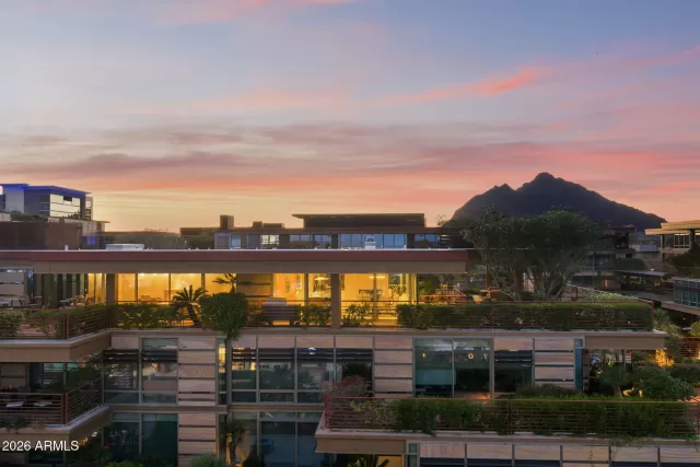 Optima Camelview
